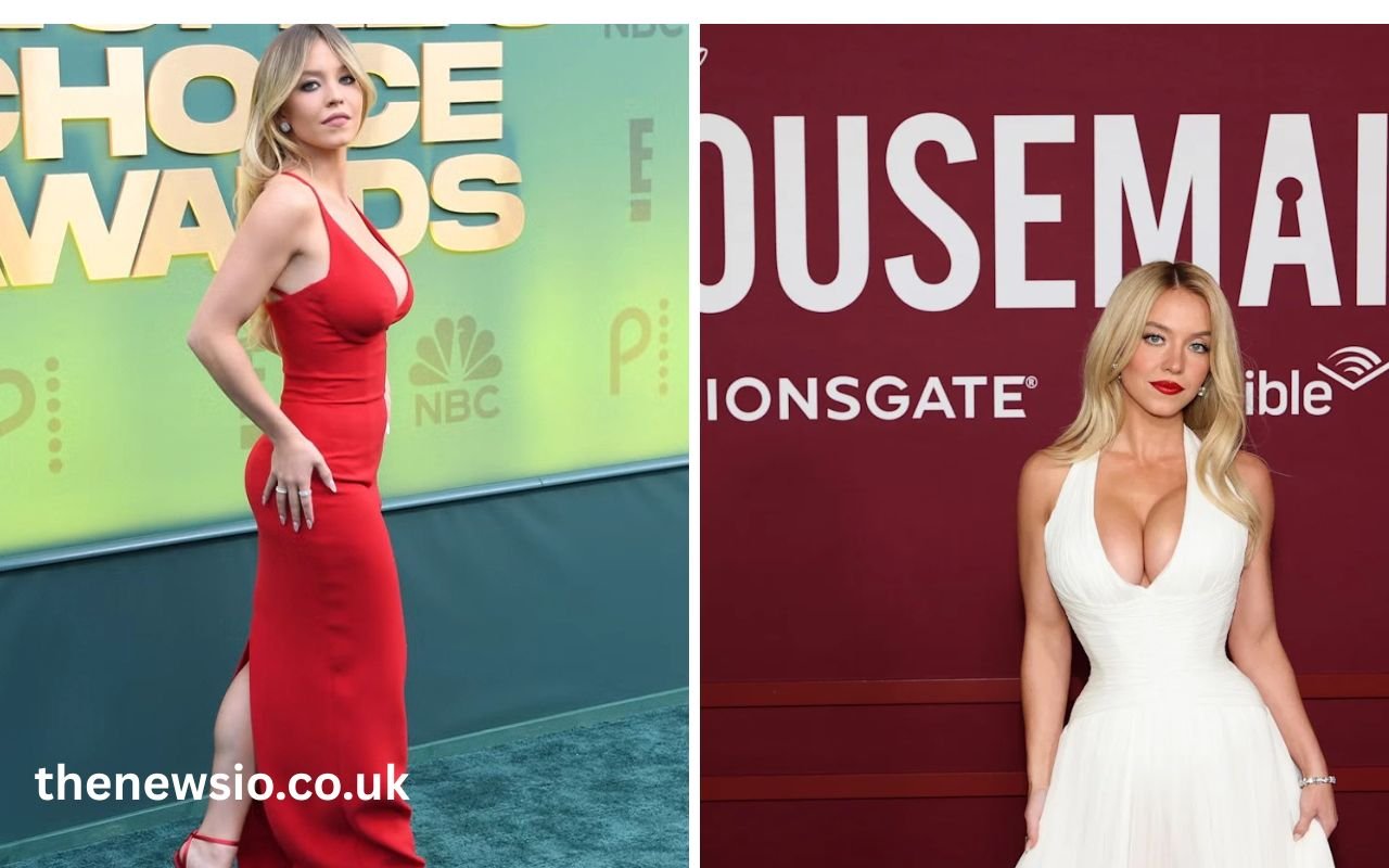 kniko howard sydney sweeney tits